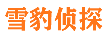 冷水滩市侦探调查公司